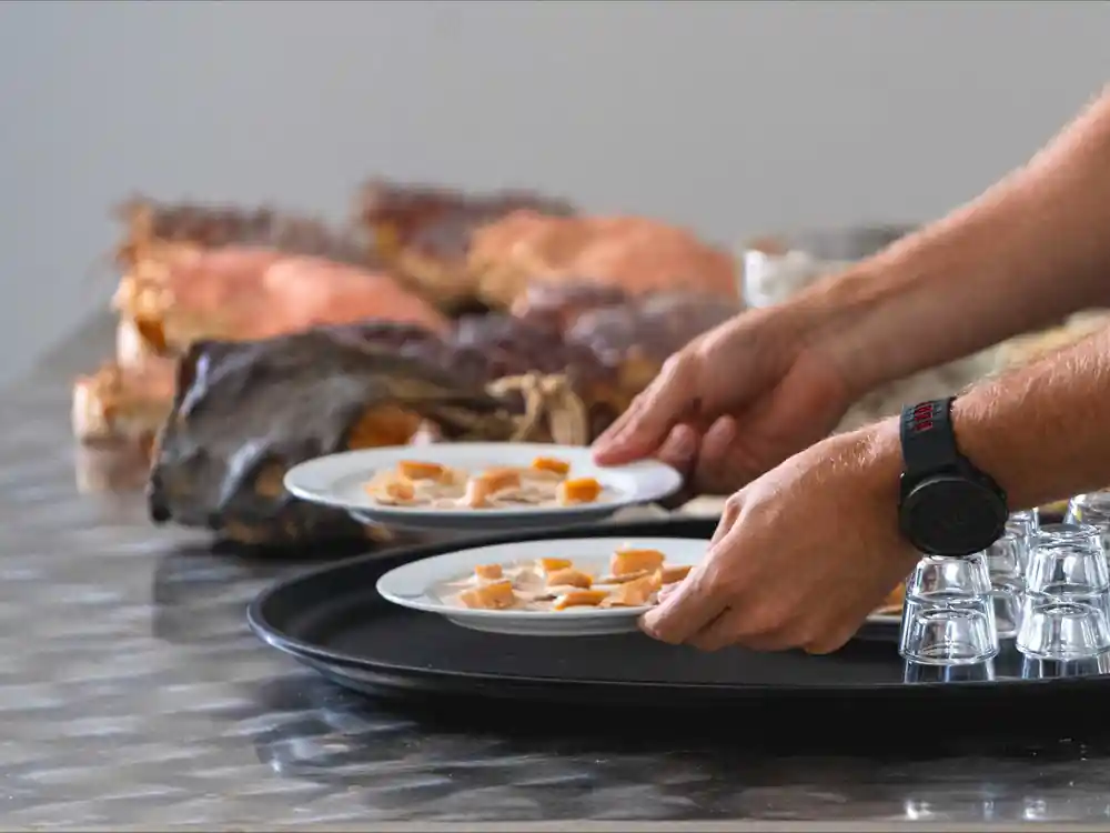 Hands serving seafood dishes on plates near water