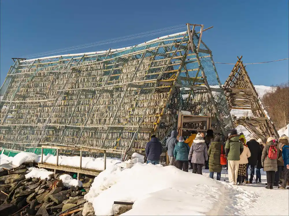 Large wooden structure with dried fish hanging on frame