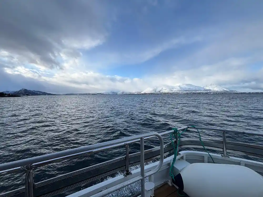 Snowy mountains across calm fjord water from boat