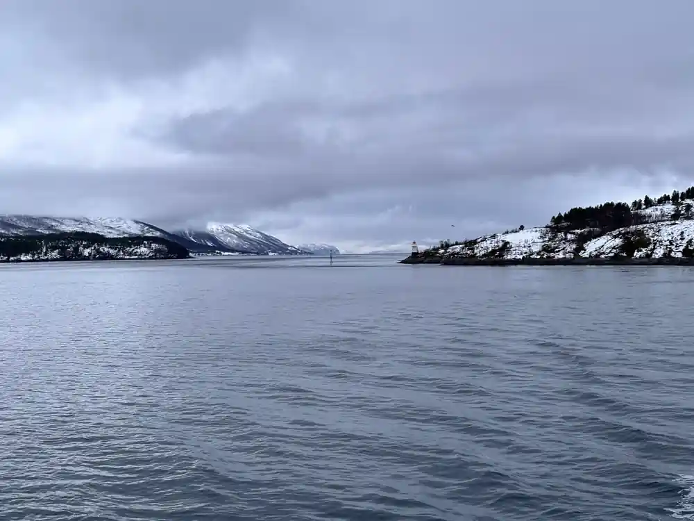 Snowy mountains and fjord viewed from boat railing