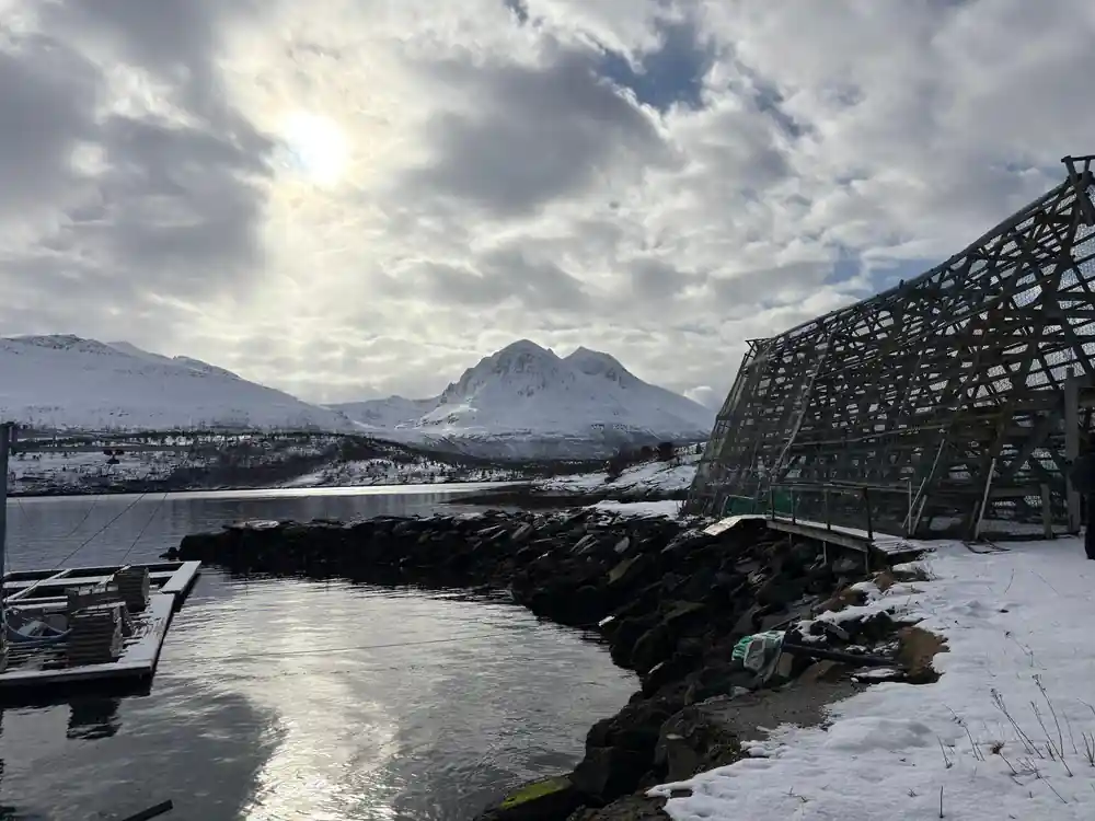 Wooden frame structure on snowy ground with frozen fjord view
